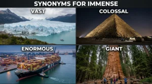synonyms for immense